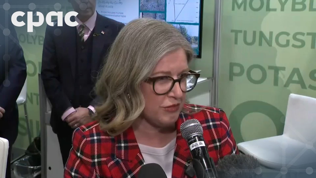 Natural Resources Minister Tim Hodgson and N.B. Premier Susan Holt make an announcement