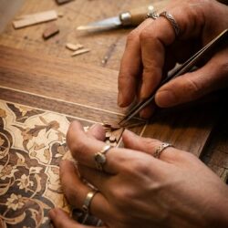 Member of the Month – Kamloops Arts Council