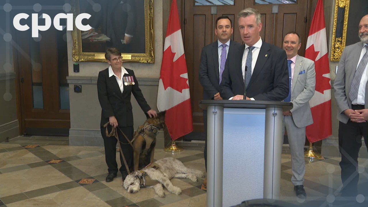 Conservative MP Michael Barrett discusses service dogs for veterans bill – June 3, 2026