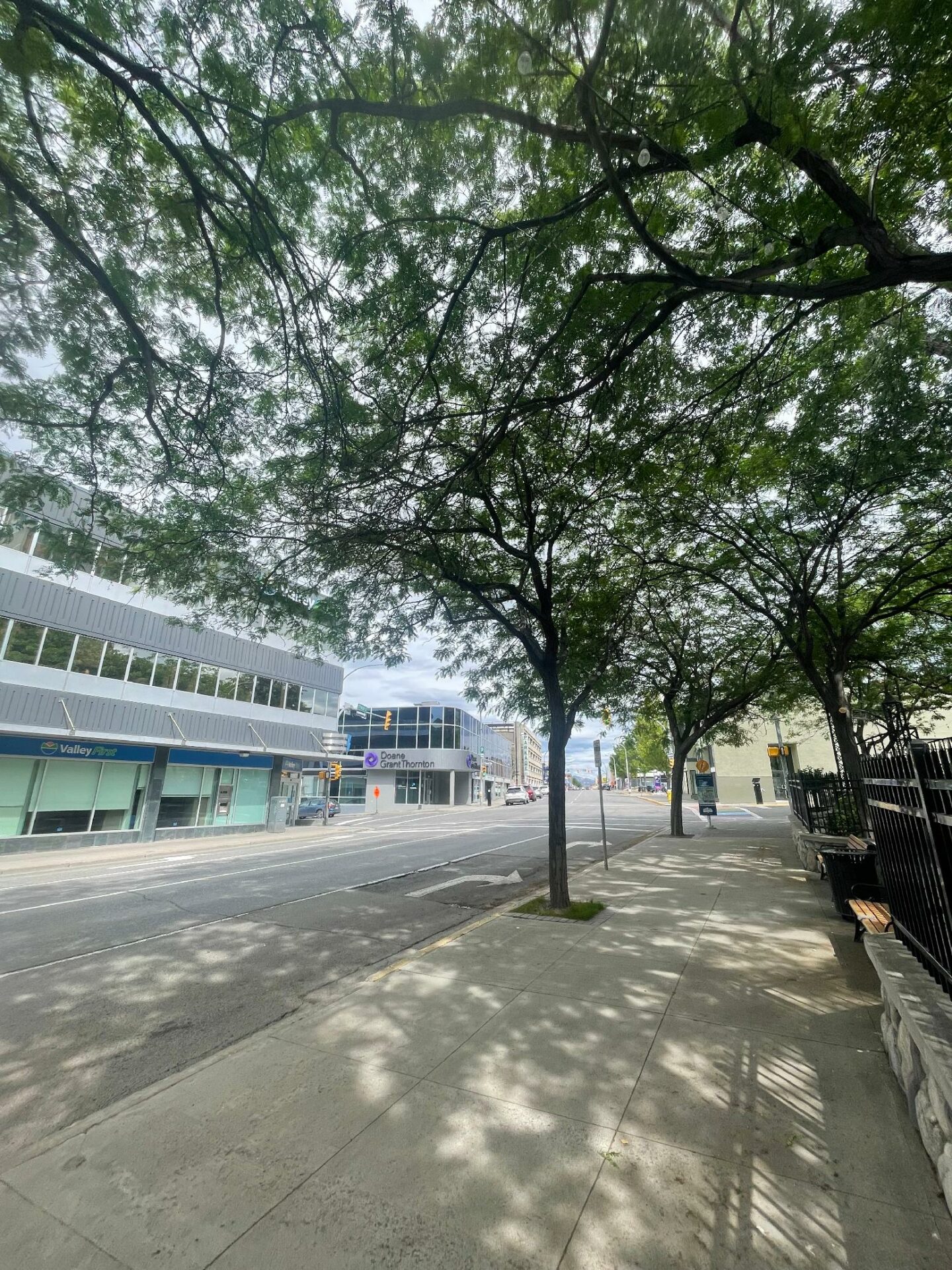 New action team offering webinar on urban trees