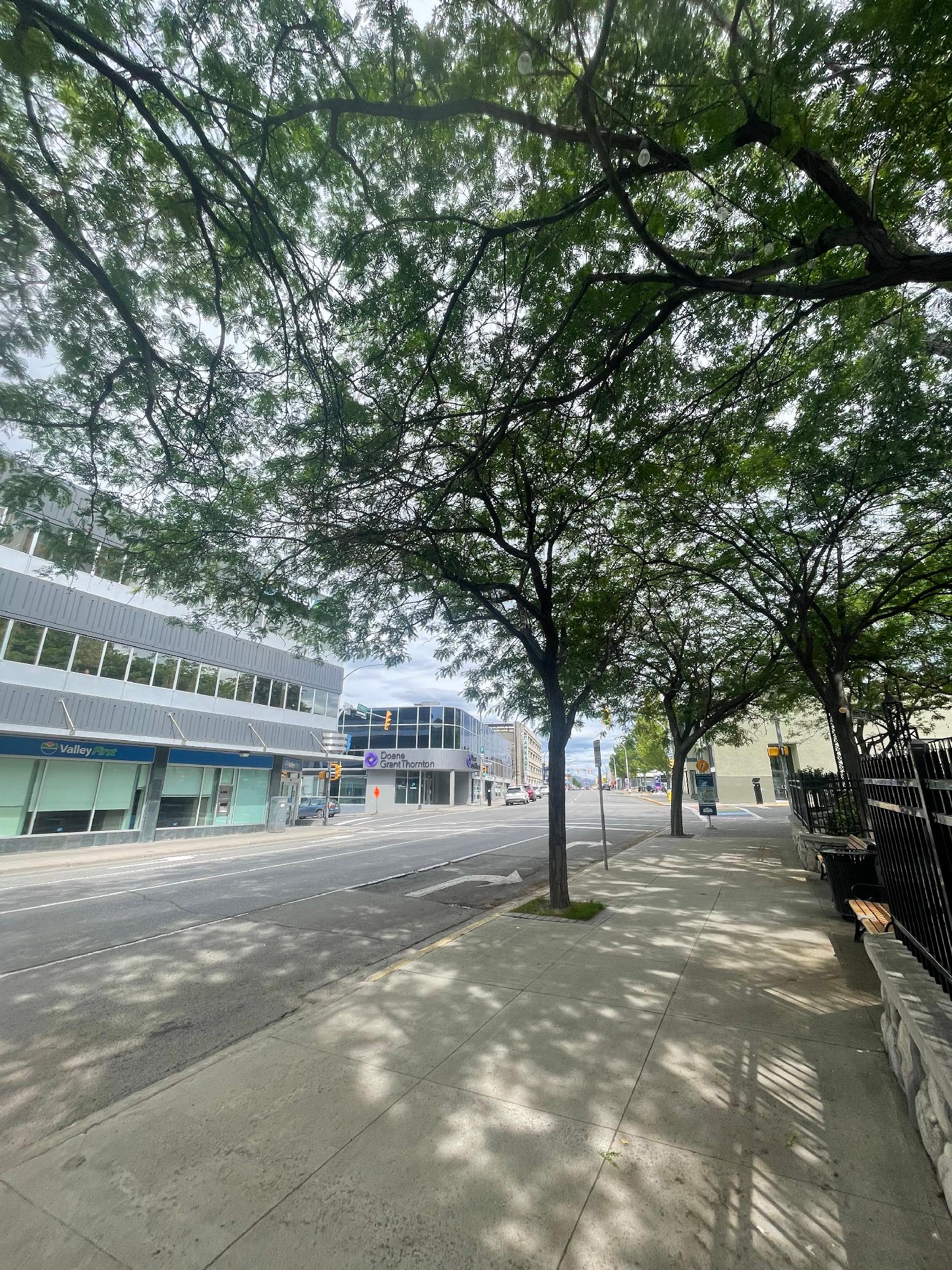 New action team offering webinar on urban trees